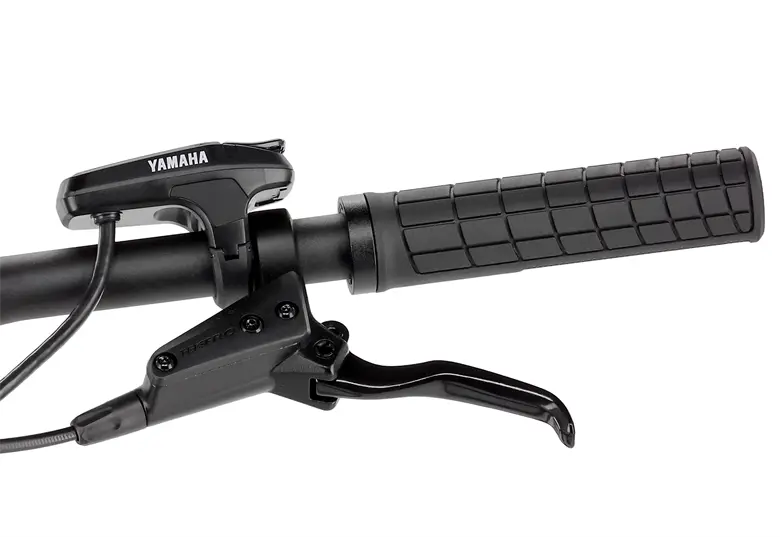 Rower elektryczny R-RAYMON HardRay E 4.0 29 - obrazek 18