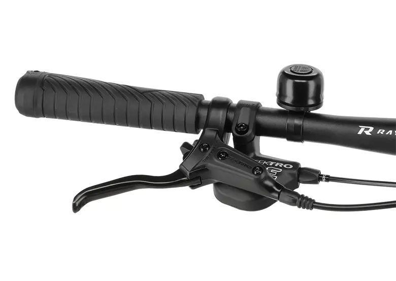 Rower elektryczny R-RAYMON TourRay E 1.0 SE - obrazek 8