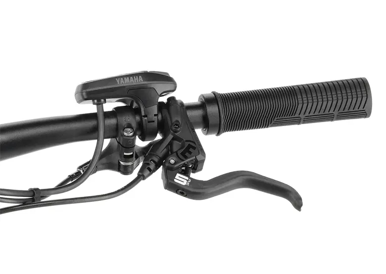 Rower elektryczny R-RAYMON Trailray 170 - obrazek 10