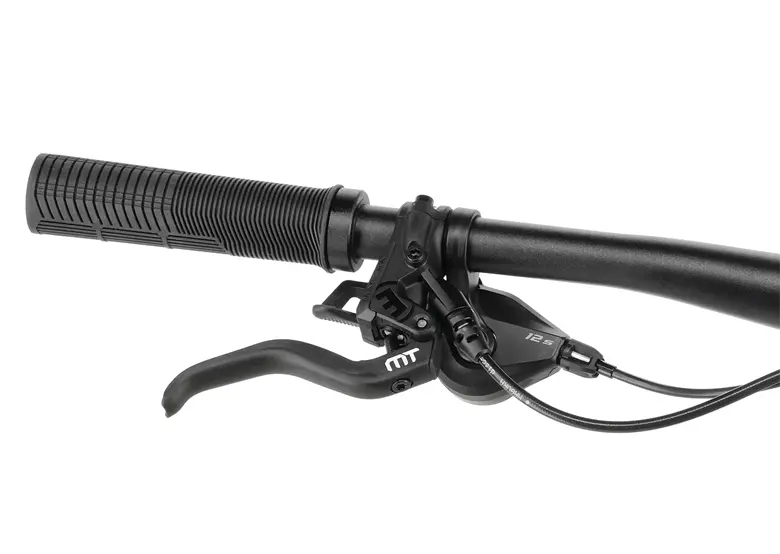 Rower elektryczny R-RAYMON Trailray 170 - obrazek 9