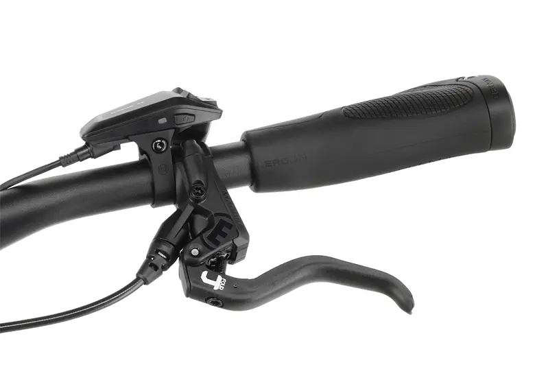 Rower elektryczny SIMPLON Chenoa :E Cues - obrazek 10