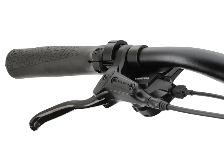 Rower elektryczny WINORA CB100 Einrohr - obrazek 9