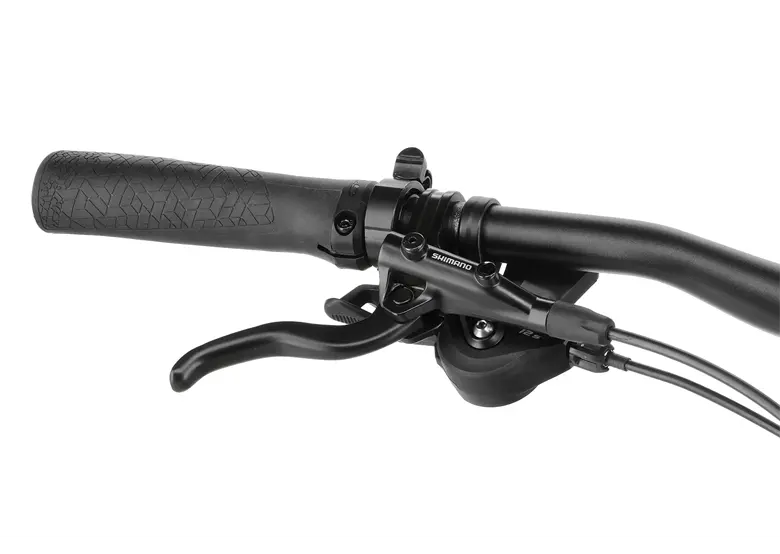Rower elektryczny WINORA Yucatan X12 - obrazek 9